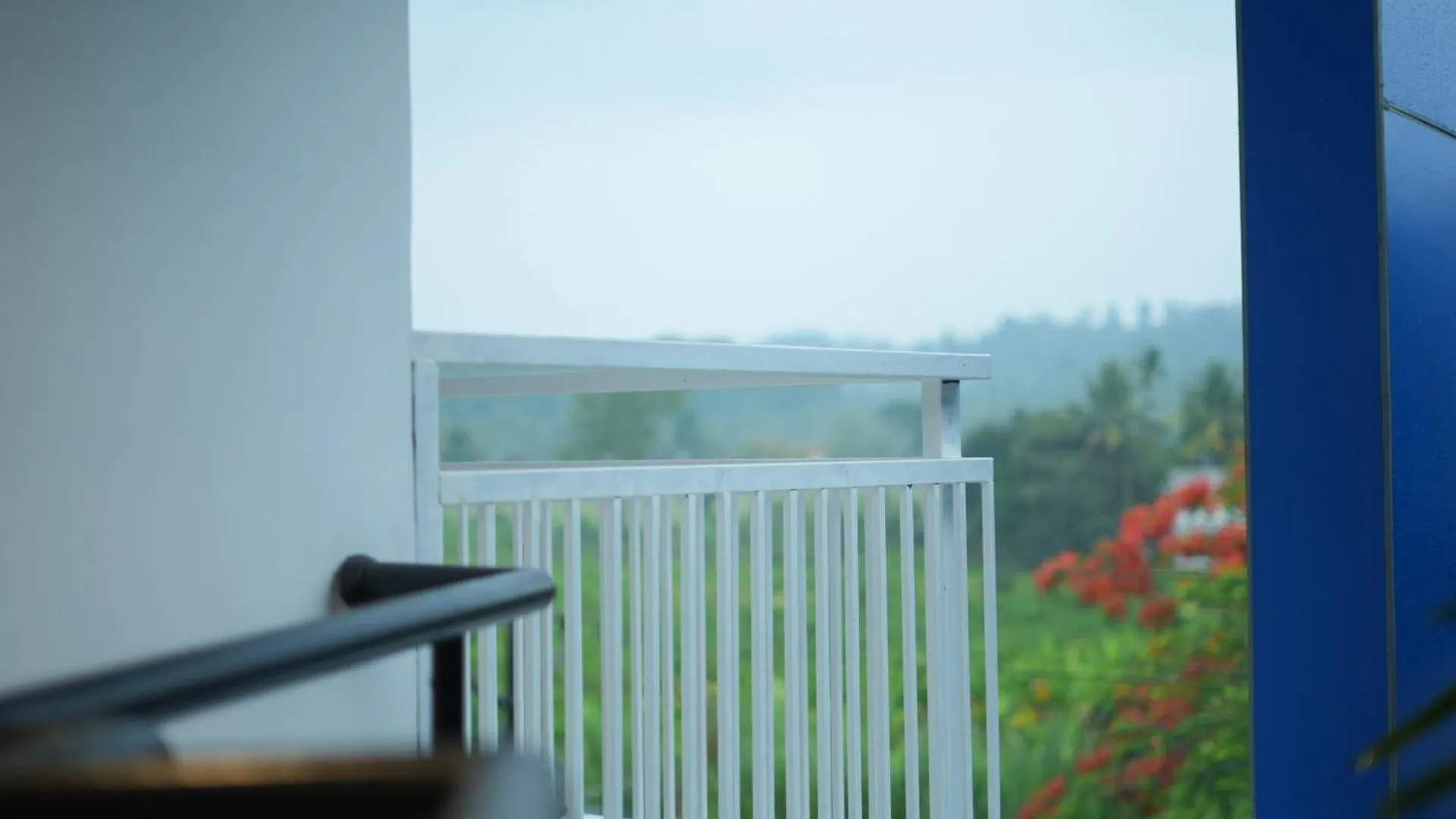 Rasha Residency Hostel Kalpetta
